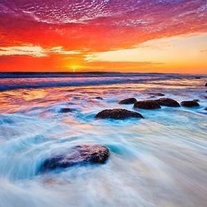 Meet your Posher, Flo